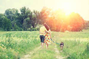 Happy couple in love with dog walking on a rural dirt road in springtime at sunset. The woman and man hugging. The woman keeps her dog on a leash. Couple and dog back to the camera. 